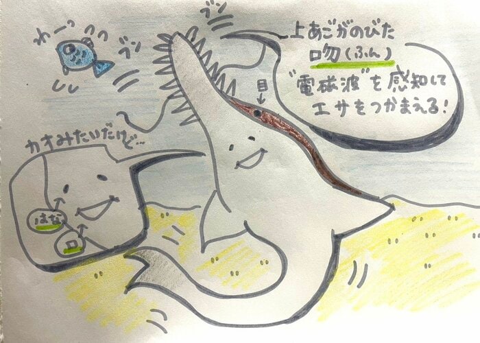 イメージ図