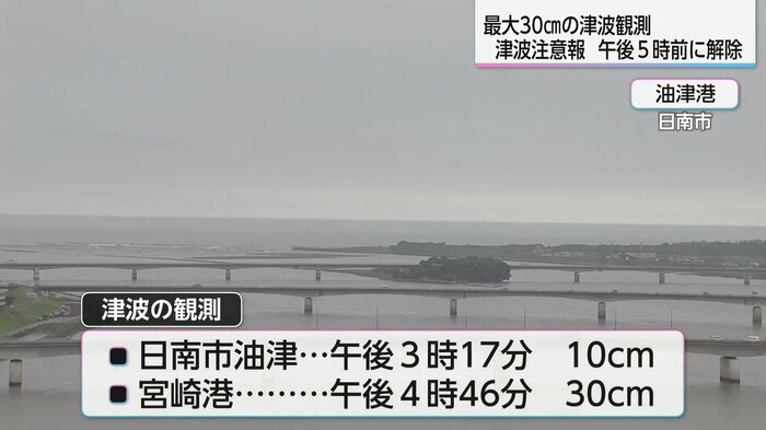 観測された津波の高さ