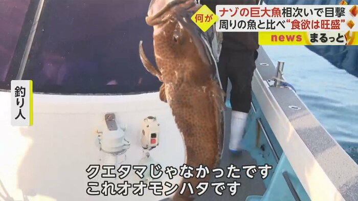 別の魚だった