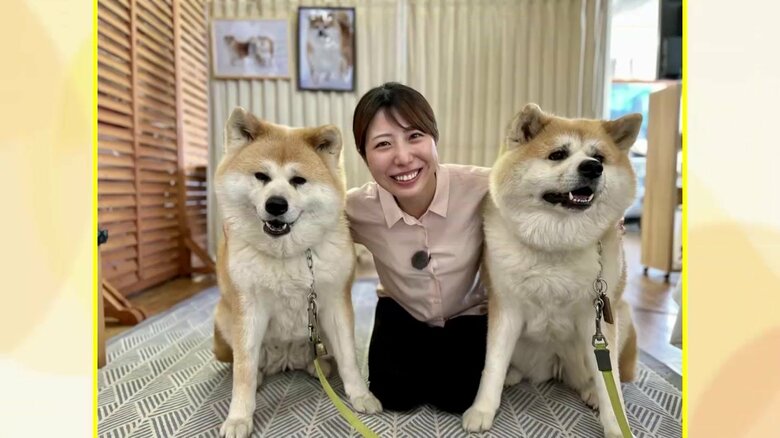 「忠犬ハチ公」のふるさとで「秋田犬」満喫の“ワン”ダフルな旅を！　出迎えに散歩・宿での触れ合いも【秋田発】｜FNNプライムオンライン