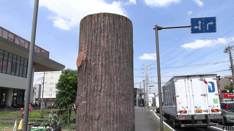 「30年近くずーっと疑問」近隣住民も正体を知らない“謎の木” 実は大雨に備えた重要施設 神奈川・横浜市|FNNプライムオンライン