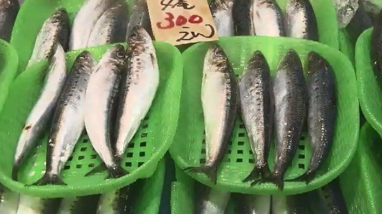 物価高の“救世主”　記録的豊漁で「イワシ」が安い　通常の半額で販売も｜FNNプライムオンライン