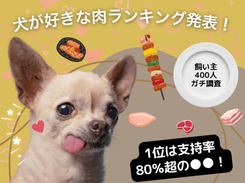 【飼い主400人に調査】犬が好きな肉1位はダントツで●●！飼い主が語る“うちの子の推し肉”エピソードが続々！