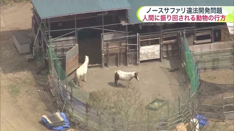【続報】ノースサファリ問題・哺乳類が”5匹”園外に移動したものの…6月末時点で計221匹の動物が園内に＿所在地を札幌に移した「北海道アニマルワールド」予定地探しは？〈札幌市〉｜FNNプライムオンライン