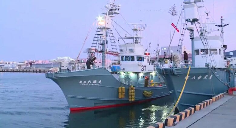 【速報】鮎川捕鯨が自己破産申請　２０１９年に商業捕鯨に移行し赤字経営に　負債総額５億５０００万円｜FNNプライムオンライン