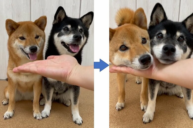もう一度手のひらにあご乗せ
