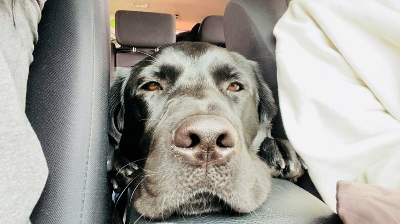 車内でまったり