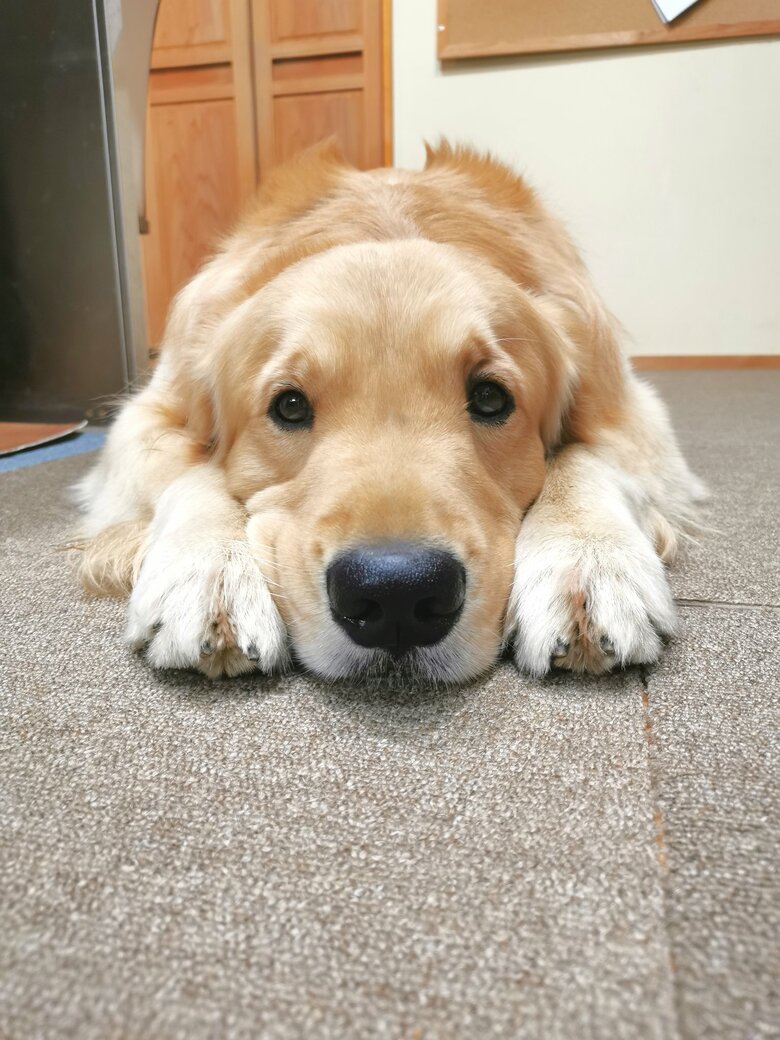 提供：ふぉるてさん