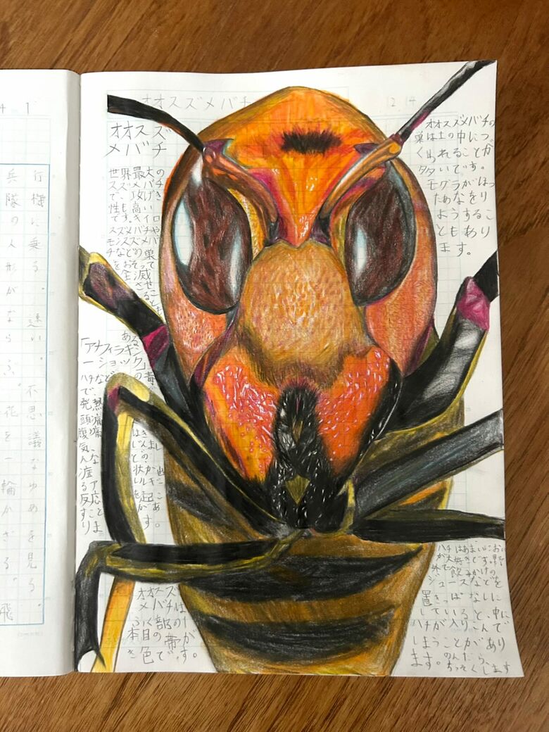 オオスズメバチ（前回の取材時以降の作品）