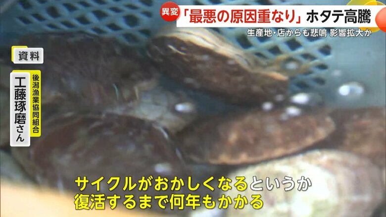 「復活するまで何年もかかる」と話す後潟漁業協同組合・工藤琢磨さん