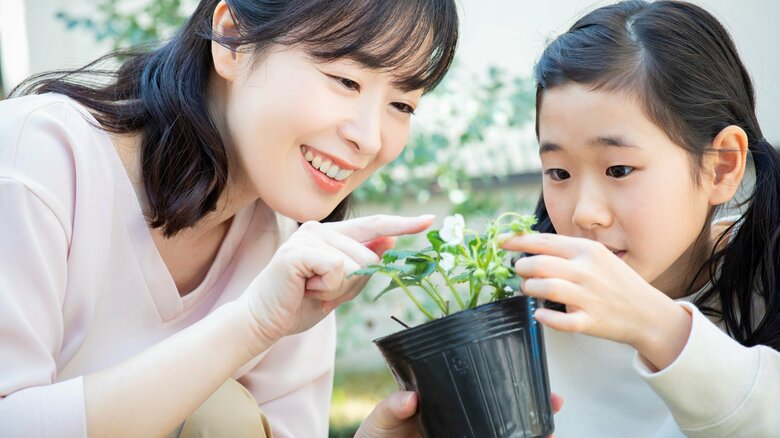 葉などの状態を確認することも大切（画像はイメージ）
