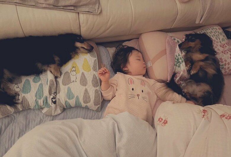 仲良く並んで寝ている（一番左は一緒に暮らしているマロンくん）