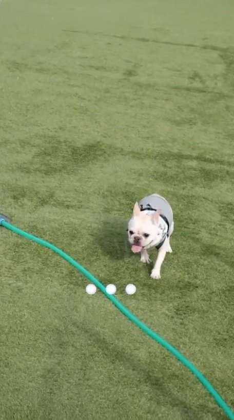 提供：むぎさん