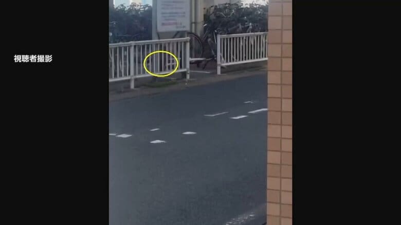 JR唐津駅近くのガード下の駐輪場で動く影