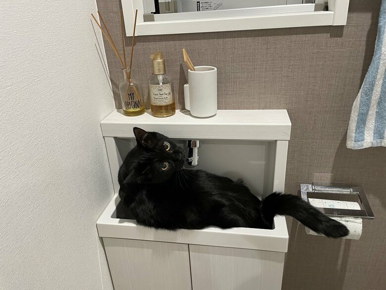 最近好きだというトイレの手洗い場