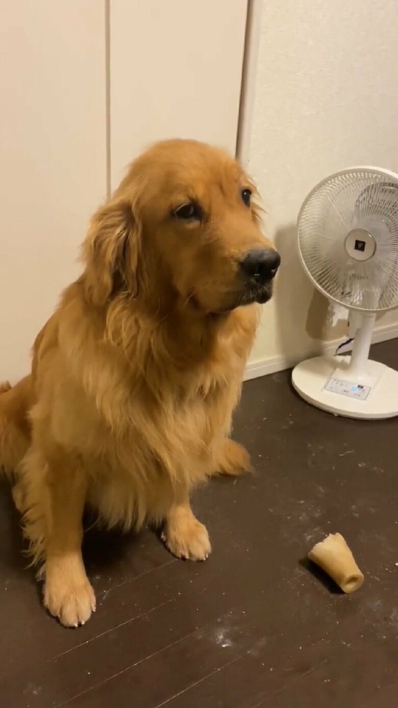 チラリとこっちを見て