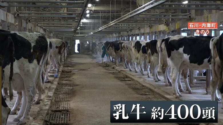 牛舎の約400頭の牛
