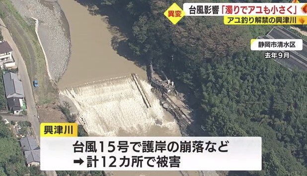 興津川（2022年9月）