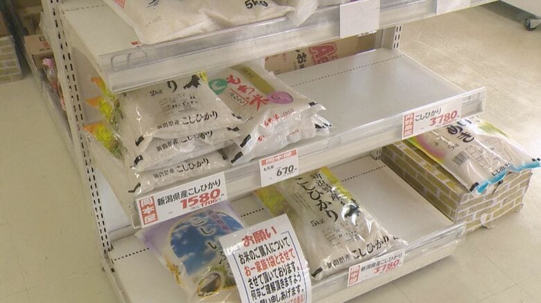 コメの品薄感続く…