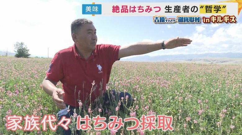 「ホーリークローバー」の白い蜂蜜を採取しているアスカルさん