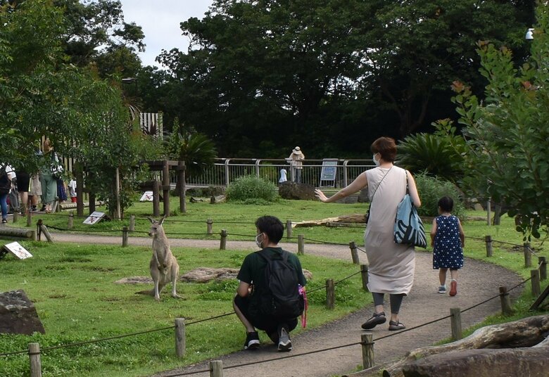 カンガルーウォークスルー（提供：横浜市立金沢動物園）