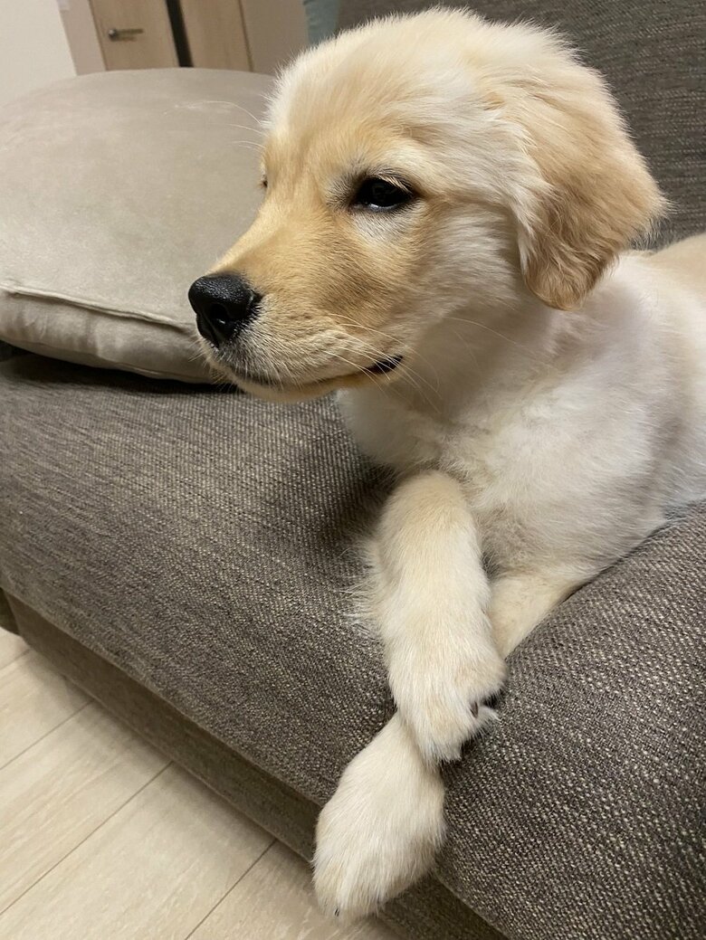 足を組んでアンニュイな表情をする日も…