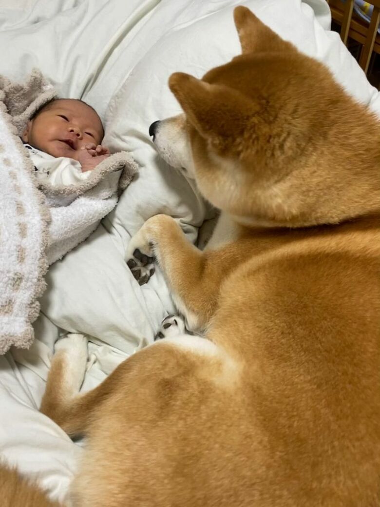 提供：torakichi602さん