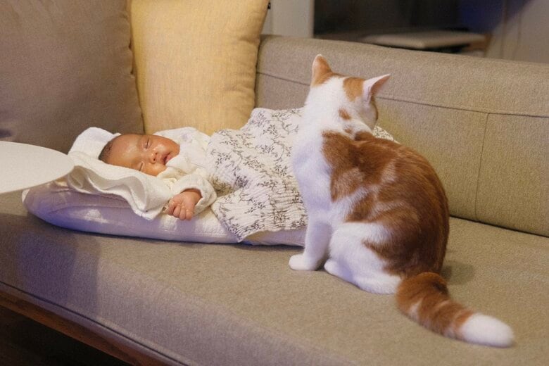 見守るこなつくん（提供：こなつさん）