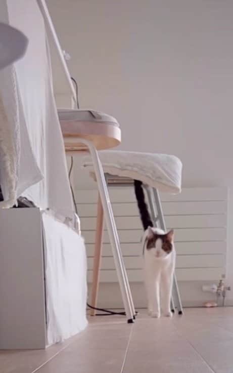 遠くから発見してフリーズ