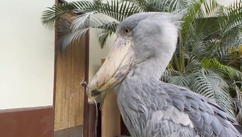 もう一度ザバーッ