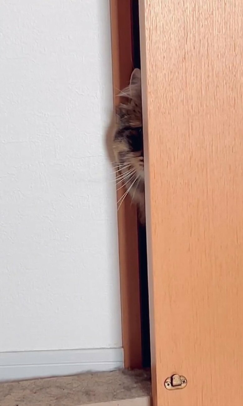 やっぱり怖いのか