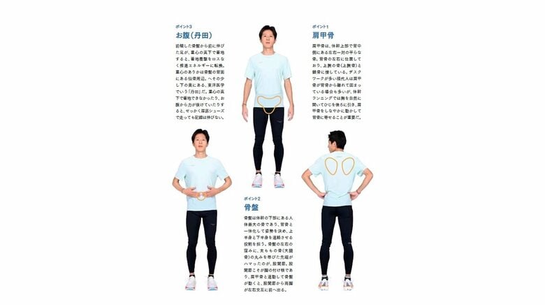 重視したい体幹3つの部位（『厚底シューズ時代の新・体幹ランニング』より）