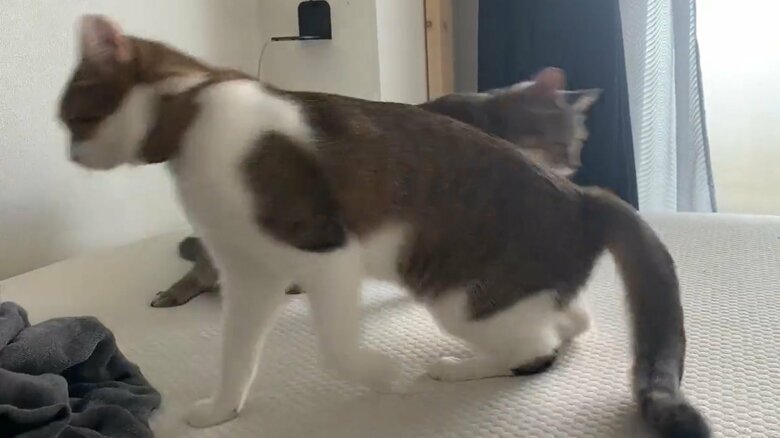 逆方法に同じタイミングで歩き出した。さらに…