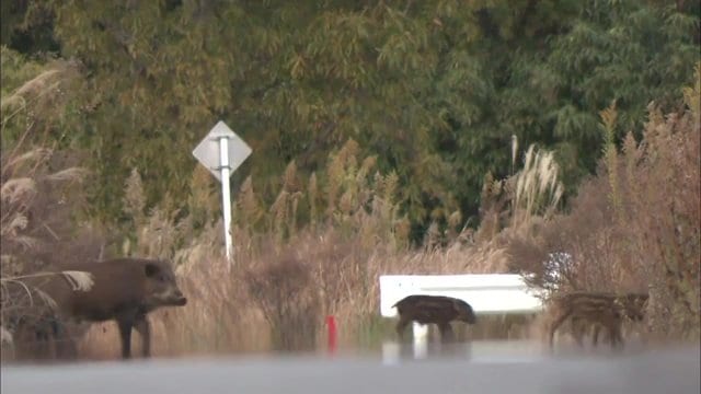 原発事故後の福島県