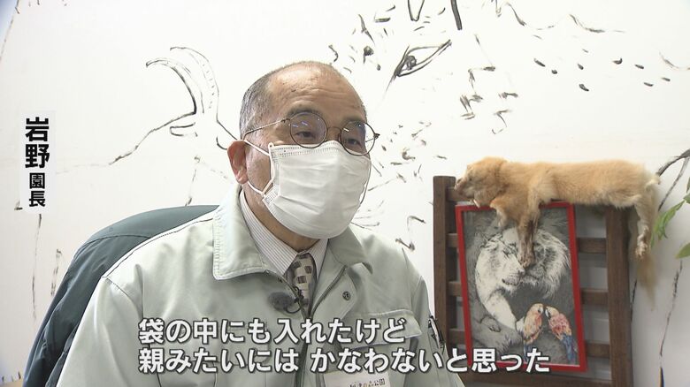 人工保育の難しさ