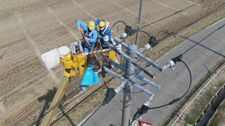 提供：東北電力ネットワーク