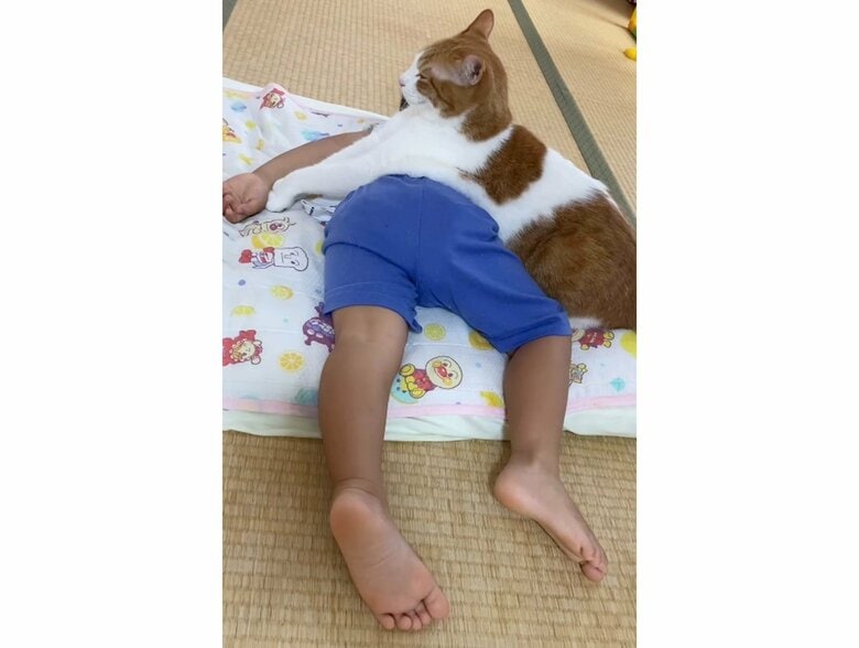 提供：Hassakuさん