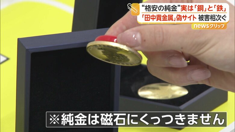 “偽物の純金”が磁石にくっつく様子