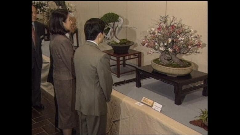 平成9（1997）年　第71回 国風盆栽展