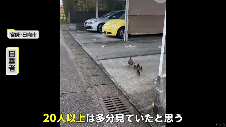 目撃者は「たぶん20人以上は見ていたと思う」と話した