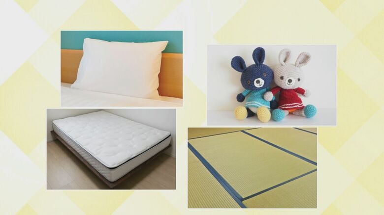 枕・マットレス・畳・ぬいぐるみにも対応（イメージ）