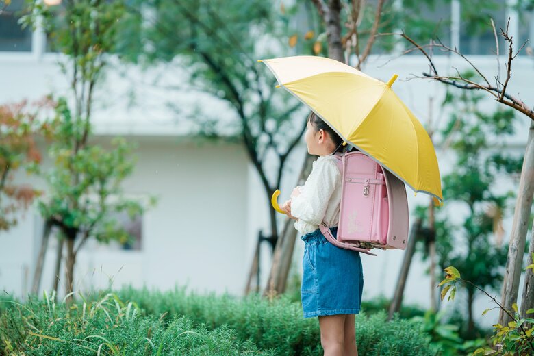 提供：株式会社ハシモト