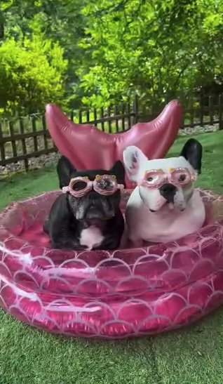 提供：天使の笑顔さん