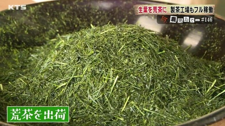 収穫された茶葉は製茶工場に運ばれ、蒸し、揉み、乾燥の工程を経て約3時間半で荒茶になる