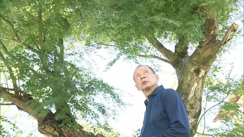 路子さんが最期に見たモミジ