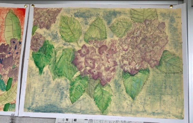 提供：櫻井京太郎さん