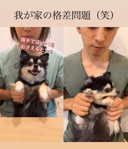 出だしからガブリと噛みつくさすけくん