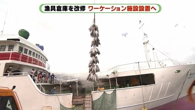 焼津港に水揚げされるマグロ　漁業の町の風景だ