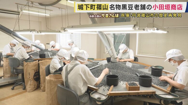 黒豆を手撰り選別