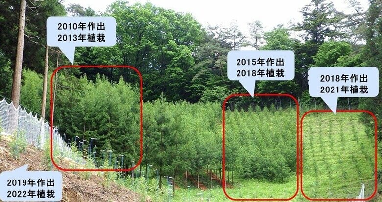 長い時間をかけて「心晴れ不稔1号」が育成されてきた